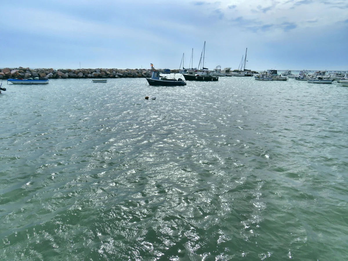 Veduta della costa di Castiglioncello