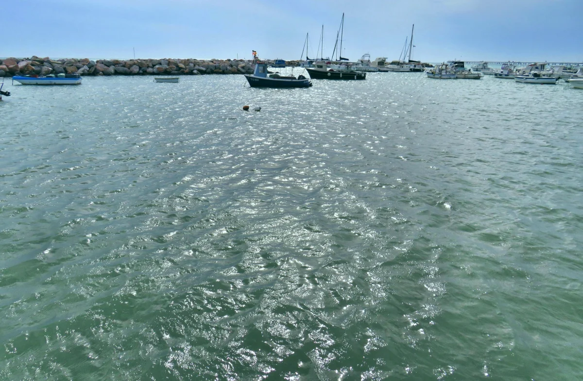 Veduta della costa di Castiglioncello